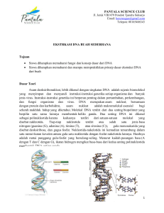 modul EKSTRKASI DNA BUAH SEDERHANA