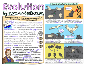 Evolution and Natural Selection - notes