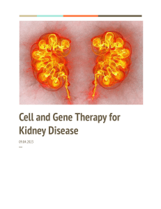 Cell & Gene Therapy for Kidney Disease