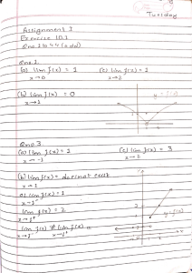 Calculus Limits Assignment: Exercise 10.1