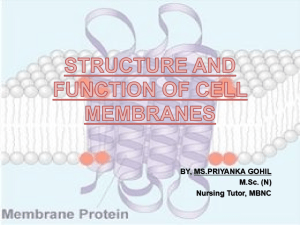 structurefunctionofcellmembrane-190313182038 (1)