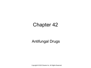 Chapter 42 Antifungal drugs