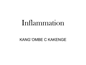 3. Inflammation