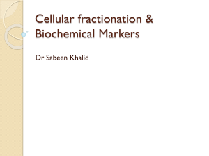 Cellular fractionation