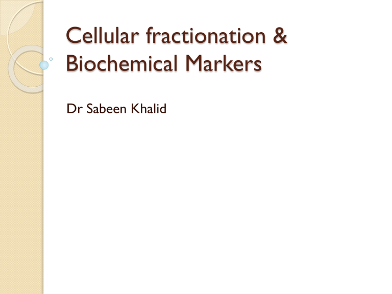 Cellular fractionation