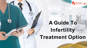 A Guide To Infertility Treatment Option.