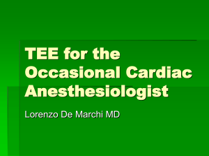 TEE for the Occasional Cardiac Anesthesiologist 6-08-10