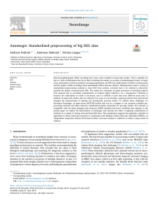 Automagic: Standardized preprocessing of big EEG data