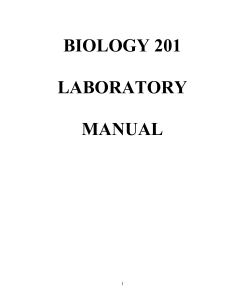 Foundation of Biology (2nd semester) Laboratory Manual 