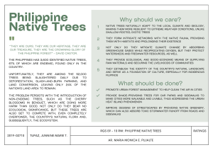 Philippine Native Trees