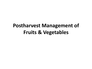 Postharvest Management of Fruits & Vegetables-1