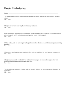 Budgeting Worksheet: True/False & Multiple Choice Questions