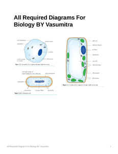 All Required Diagrams For Biology BY Vasumitra