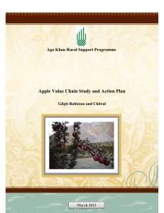 Apple Value Chain Study-Gilgit