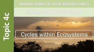 28 Cycles within Ecosystems