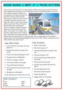 goose-builds-nest-in-train-station-reading-comprehension-exercises 125021