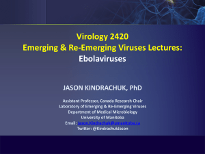 Virology 2420 filoviruses