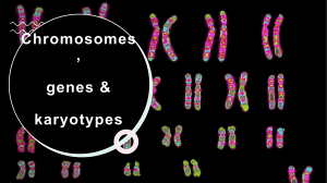 Chromosomes etc