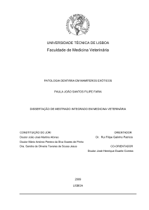 Patologia Dentária em Mamíferos Exóticos: Dissertação de Mestrado