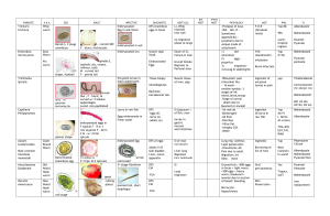 PARASITOLOGY-TABLE-REVIEW
