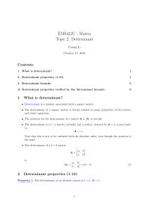 Lecture notes - EMS412U - Matrix - Determinant