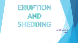 Eruption and shedding