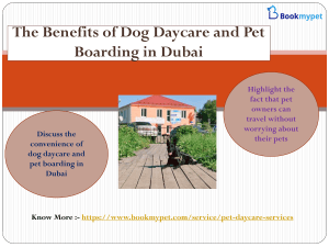 The Benefits of Dog Daycare and Pet Boarding