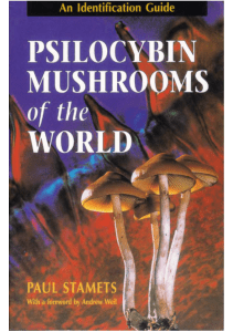Psilocybin Mushrooms of the World. An identification Guide by Paul Stamets 72