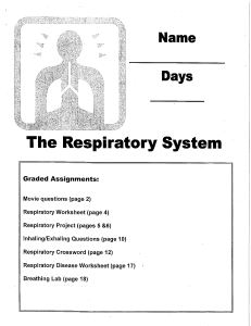 Respiratory System Packet