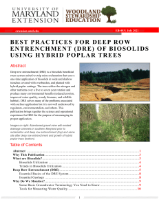 80. Best Practices for Deep Row Entrenchment EB-453