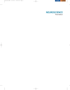 Purves et al Neuroscience 3rd Edition 2004 (1)
