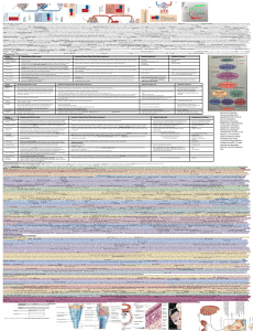 Anatomy and Physiology Cheat Sheet