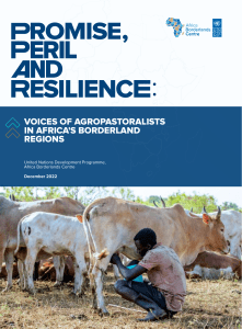 UNDP-ABC-VOICES OF AGROPASTORALISTS IN AFRICAS BORDERLAND REGIONS REPORT web