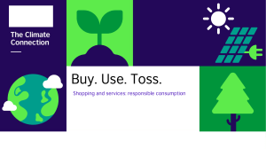 Buy-use-toss remote teaching presentation