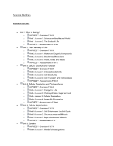 Science Outlines