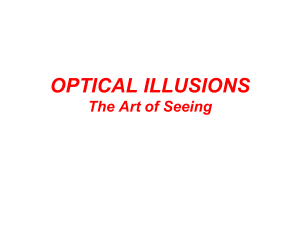 Optical Illusions PPT