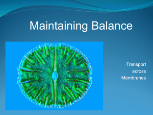 Transport across Membranes and Interdependence of Body Systems