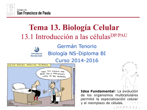 gtp t13.biología celular  1ªparte introducción a las células  2014-16