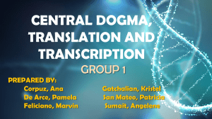 CENTRAL DOGMA-GROUP