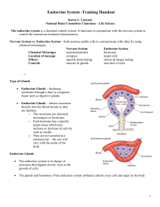 5-17 ENDOCRINE HANDOUT