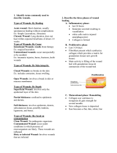 Wound Care Notes notes