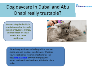 Dog daycare in Dubai and Abu Dhabi really trustable?