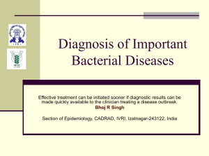 diagnosis of bacterial diseases