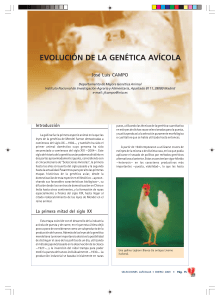11. Evolución de la Genética Avícola (Artículo) Autor José Luis Campo