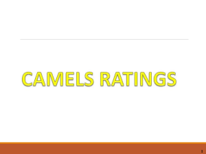 Week 12 CAMELS Rating
