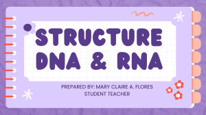 Structure DNAand RNA