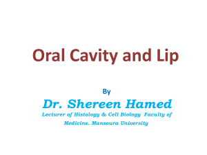 1 oral cavity and lip
