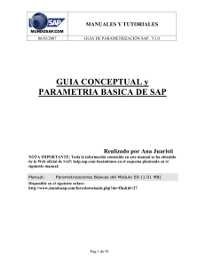 7093102-Guia-Conceptual-y-Parametrizacion-Basica-de-Sap
