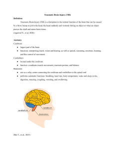 Supplemetary - Traumatic Brain Injury (7)