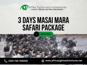 The Bucket-List Activities To Be Included On Masai Mara
